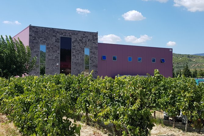 Premium Nemea Wine Tour from Athens, Nafplio or Nemea, with Oenologists - Who This Nemea Wine Tour Is Best For