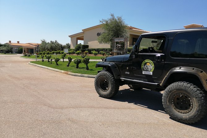 Private 4x4 Wine Tour from Athens to Marathon Lake and a Winery - The tasting: 2 wines and one vinegar, plus how to enjoy it
