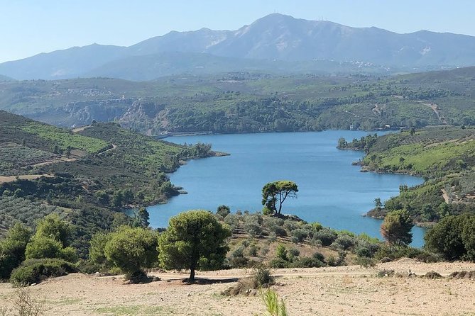 Private 4x4 Wine Tour from Athens to Marathon Lake and a Winery - Wine Museum Kostas Lazaridis at Domaine Costa Lazaridi