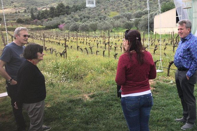 Private Athens to Mycenae & Nafplio Tour - Price and Value: What You Pay, What You Still Need to Budget