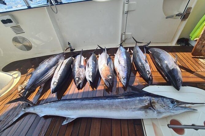 Private Boat and Fishing Tours in Greek Islands - The boat layout that makes families and friends happier