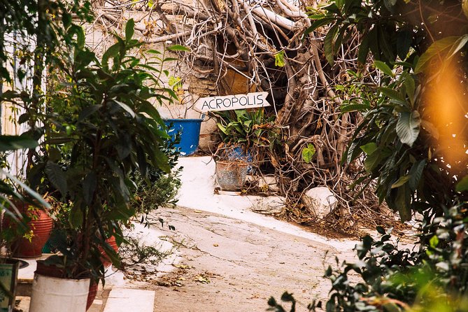 Private City Kickstart Tour: Hidden Districts - Psirri: where creative shops and ouzeries bring Athens to life