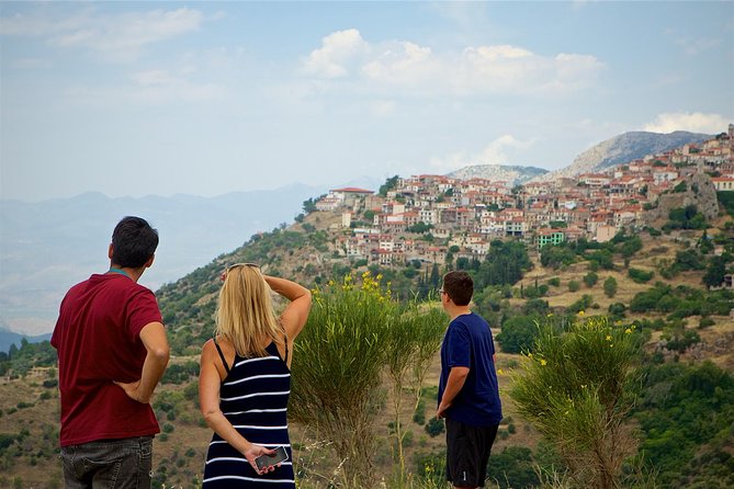 Private Day Trip of Delphi from Athens - Private transport details that actually matter