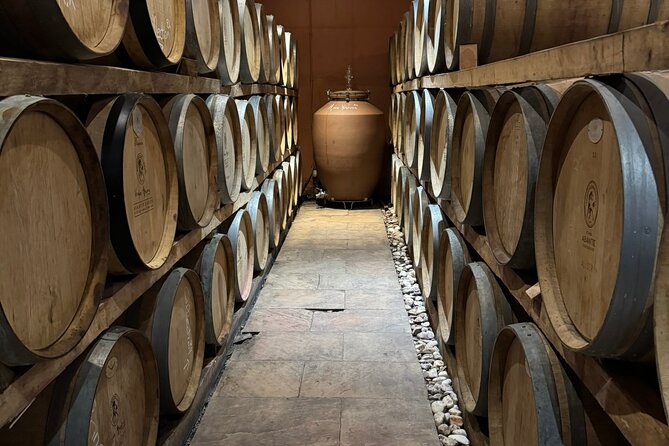 Private Daytrip for Truffle Mushroom Foraging and Wine Tasting - The 8 to 9 hour rhythm: timing that keeps you comfortable