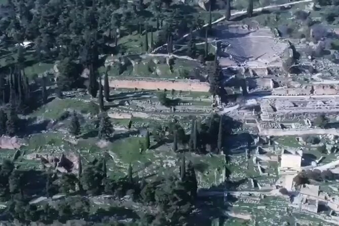 Private Delphi tour with a Pickup (optional Thermopylae) - Delphi Archaeological Museum: Where the Story Gets Real