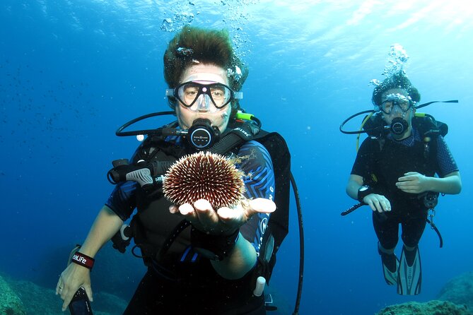 Private Discover Scuba Diving for Beginners in Athens with Pickup - Weather, health checks, and the realistic gotchas