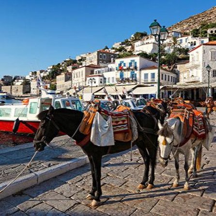 Private Excursion to Hydra Island - Who this Hydra private trip is best for