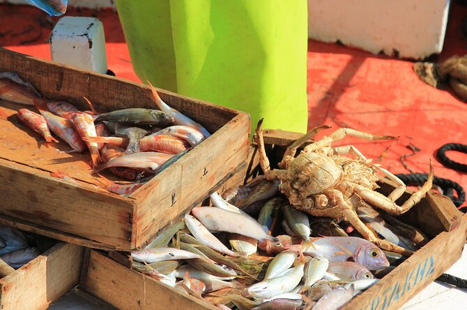 Private Fishing Trip in a Traditional Boat from Athens - Traditional line fishing, taught by the crew