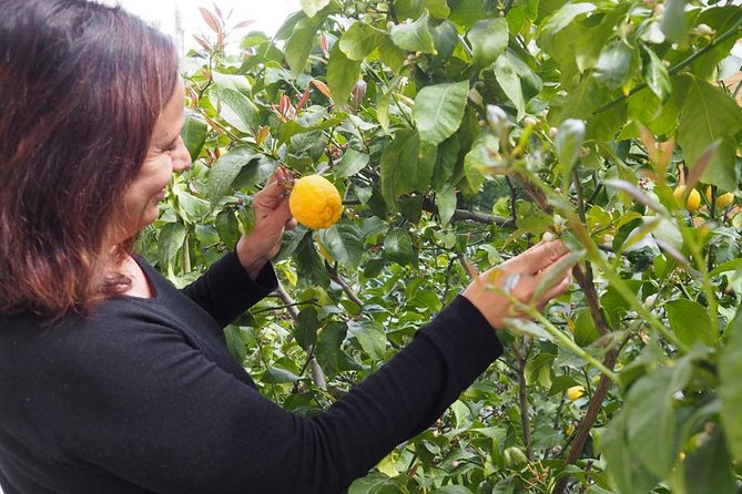 Private Greek Cooking Class in Athens-Learn to Cook with Angelina - Price and Value at $279 Per Person