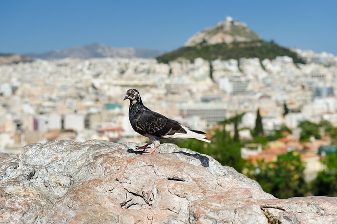 Private Luxury Biblical Tour: Apostle Paul in Athens & Corinth - Price and what you should budget beyond the headline number