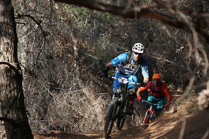 Private Mountain Bike,Trail Ride Tour of Mount Ymittos, Athens. - Terrain Details You Should Expect on Ymittos