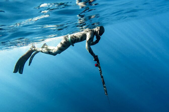 Private Spearfishing Trip From Athens - Getting From Athens To the Port Without Stress