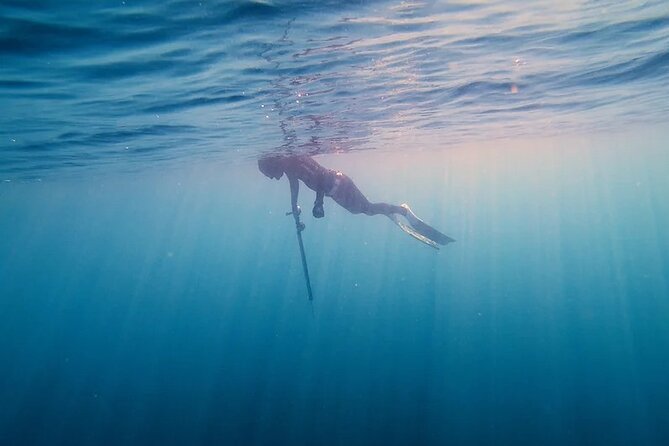 Private Spearfishing Trip From Athens - Price of $637.41: Private Access, Gear, and Transportation Value