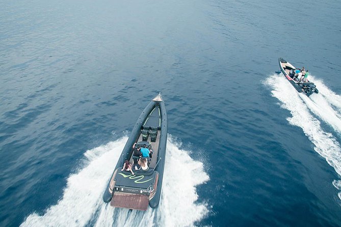 Private Speed Boat Day Cruise In Athens Riviera - What is included, and what you should plan to bring