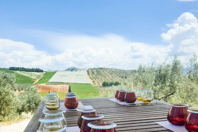 Private tour in Nafplio with Olive oil Tasting Tour in Corinth - Stop 4: Acrocorinth fortress, the viewpoint plus the layered history