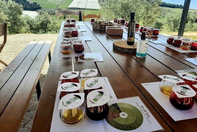 Private tour in Nafplio with Olive oil Tasting Tour in Corinth - Price and value: $529.81 per group plus the tasting fees that matter