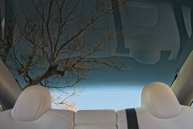 Private Transfer from Athens Airport to Athens City with Tesla - Who This Transfer Fits Best in Athens