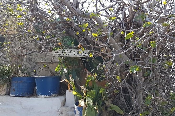 Private walking tour- Enjoy a Sunset Tour in Plaka - Who this sunset Plaka tour fits best