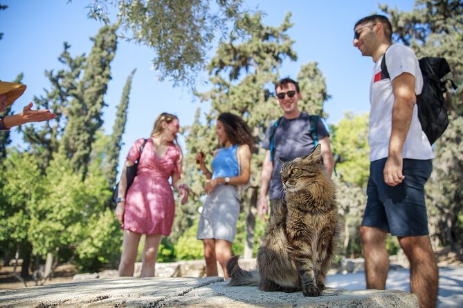 Private Walking Tour The Acropolis - Should you book this Private Walking Tour The Acropolis?