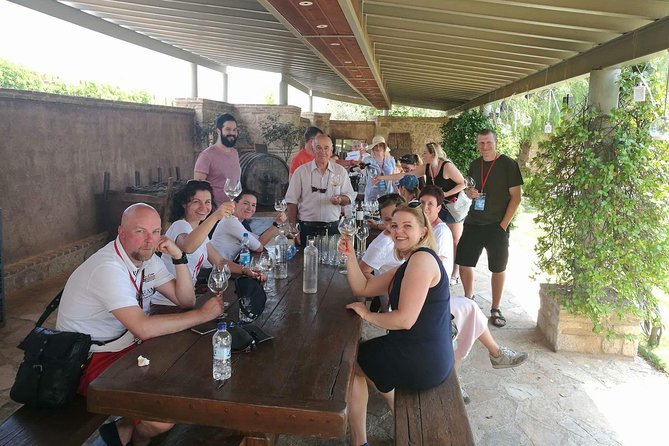 Private Wine Tasting Experience of Greek Awarded Wines at Athens Wine Suburb - Who this private Athens wine day suits best