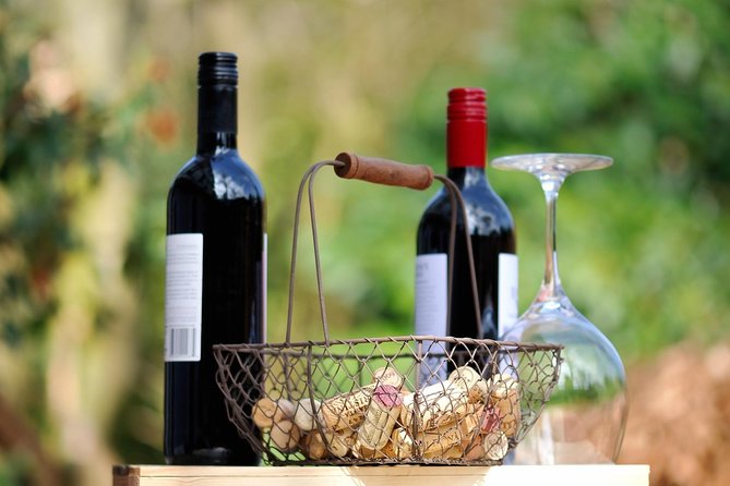Private Wine Tasting Experience of Greek Awarded Wines at Athens Wine Suburb - Should you book it?