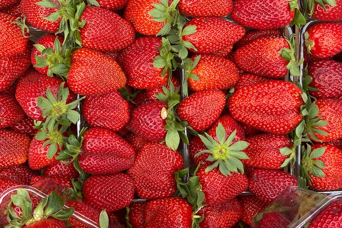 Savor Athens Walk: A Culinary & Travel Writer’s Insider Food Tour - Stop 1: Omonia Square bakery tastings from a 1948 classic