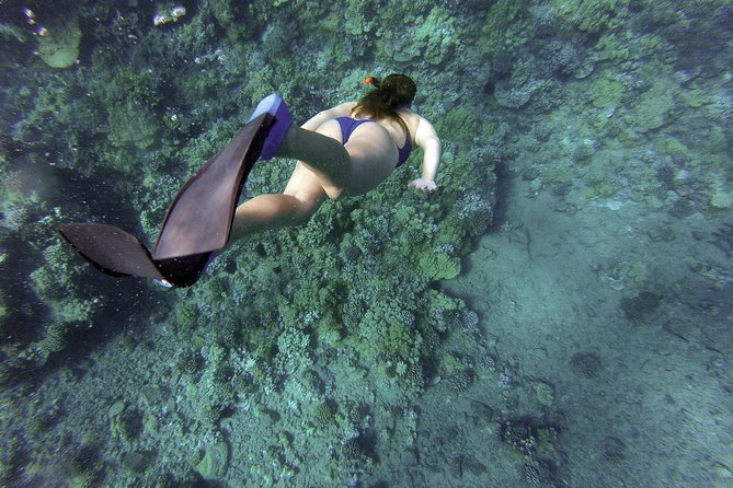 Snorkeling Fun Adventure in Athenian Riviera - Your 3-Hour Snorkeling Flow From Gear Check To Water Time