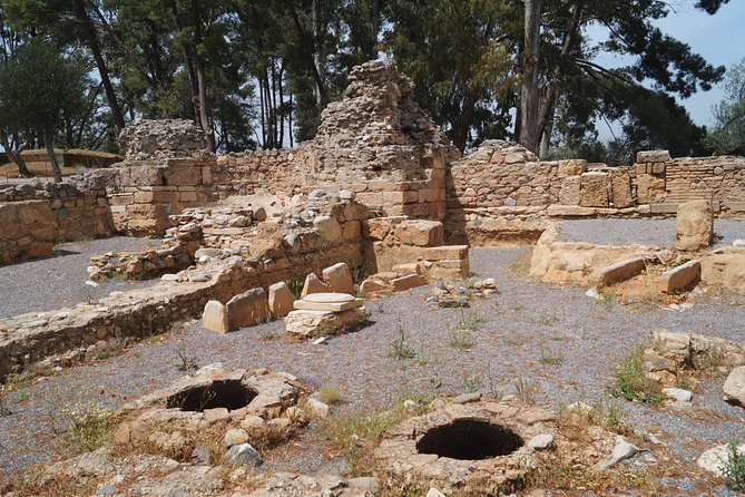 Sparta Full Day Tour - Mystras: Byzantine churches, fortifications, and a hill that dominates the view