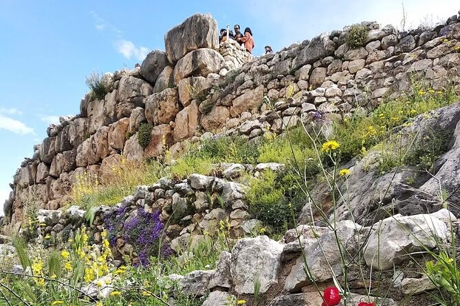Sparta Tour - The Museum of the Olive and Greek Olive Oil: A Museum Stop That Isn’t Just a Detour