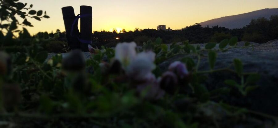 Sunrise Yoga & Meditation Acropolis & 360 view - Price and value: is $44 fair for 2 hours in Athens hills?