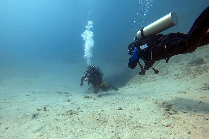 Try scuba dive - Key Highlights You’ll Actually Care About