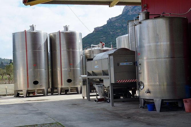 Wine Roads Private Day Tour: Corinth - Ancient Nemea & Wine Tasting - Nemea’s Archaeological Museum: Pan-Hellenic Games context