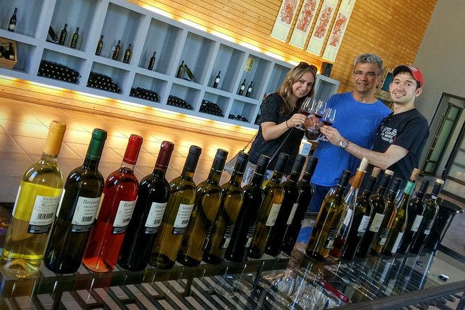 Wine Trails Private Tour/ Nemea visit 3 wineries from Athens or Nafplion (10 h) - Price and Value: What You’re Paying For (and What You Still Need to Budget)